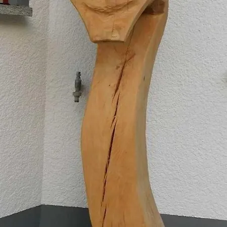 Trudis Apartmán Veringendorf